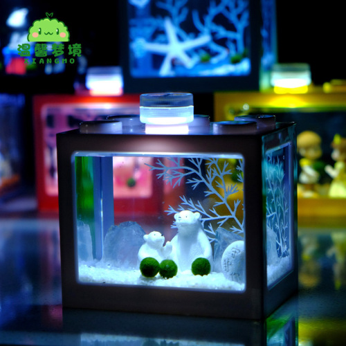 Wonderful House Seaweed Ball Micro Landscape Ecological Tank Fish Tank Desktop Mini Hydroponic Plant Small Potted Creative Gift