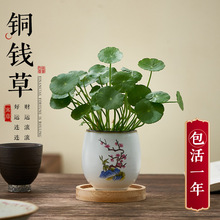 �~�X��ˮ��ֲ���҃Ȼ��������Ϙ����X����������С���Ժ��BС�[��