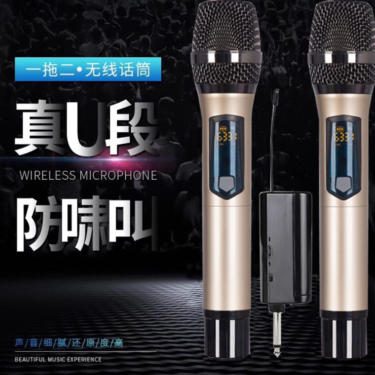 Wireless One-to-Two U-Segment Microphone Home Entertainment FM Metal Microphone Square K-Song Wireless Microphone