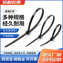 电线束线扎带固定绑带自锁式塑料捆绑带PA66尼龙扎带批发