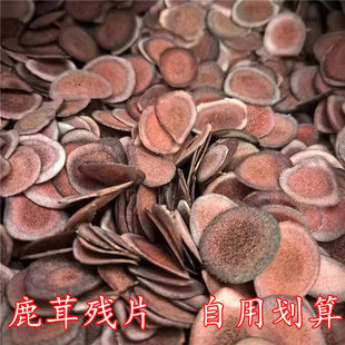 �|���L��ɽ����¹�ך�Ƭ¹��ѪƬ��؛�t��Ƭ�ݾ��Ҝ���ˮ���10��