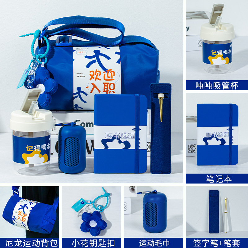 Company Event Gifts, Customized Logo, Employee Birthday, Onboarding Souvenirs, Practical Business Gifts, Sports Gift Packs