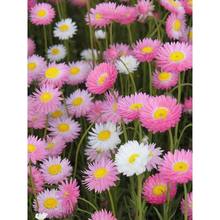 շNӾջNļN_ԻܷNͥԺ̨׻N