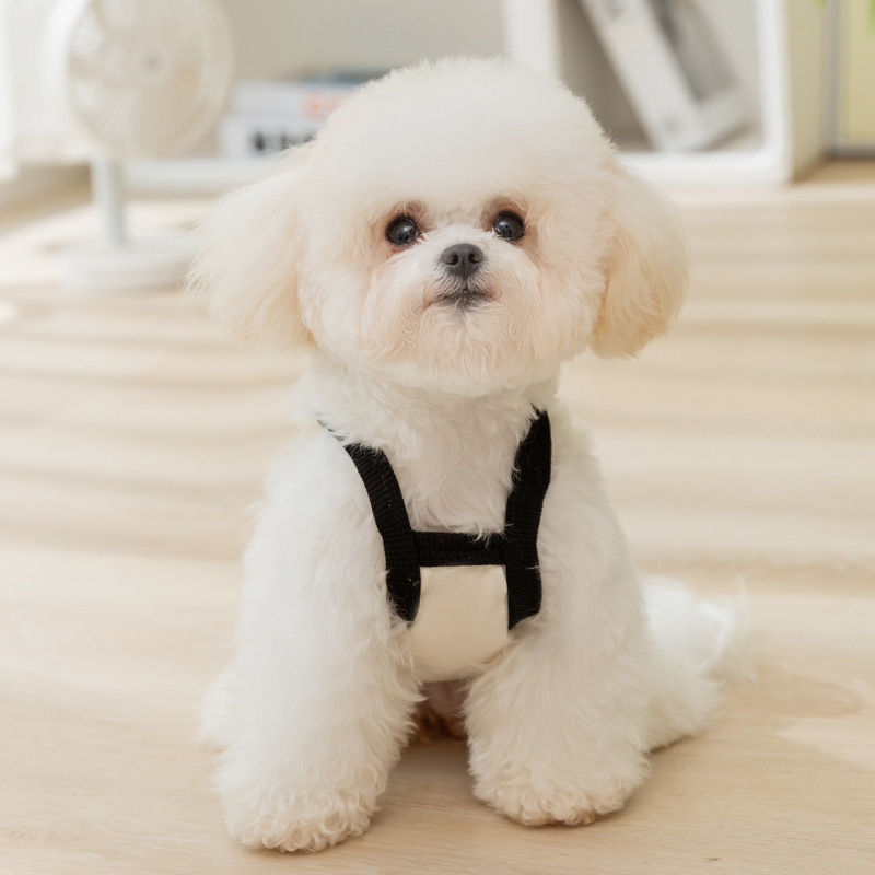 Primavera y verano perro simple borde negro niño niña pareja ropa cabestrillo gato dos pies ropa delgada de peluche para mascotas