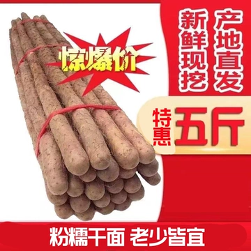 正宗铁棍山药小白嘴5斤铁棍山药新鲜山药软糯香甜产地直发辅食宝