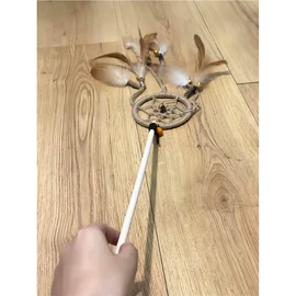 发夹;猫猫玩具;调味盒