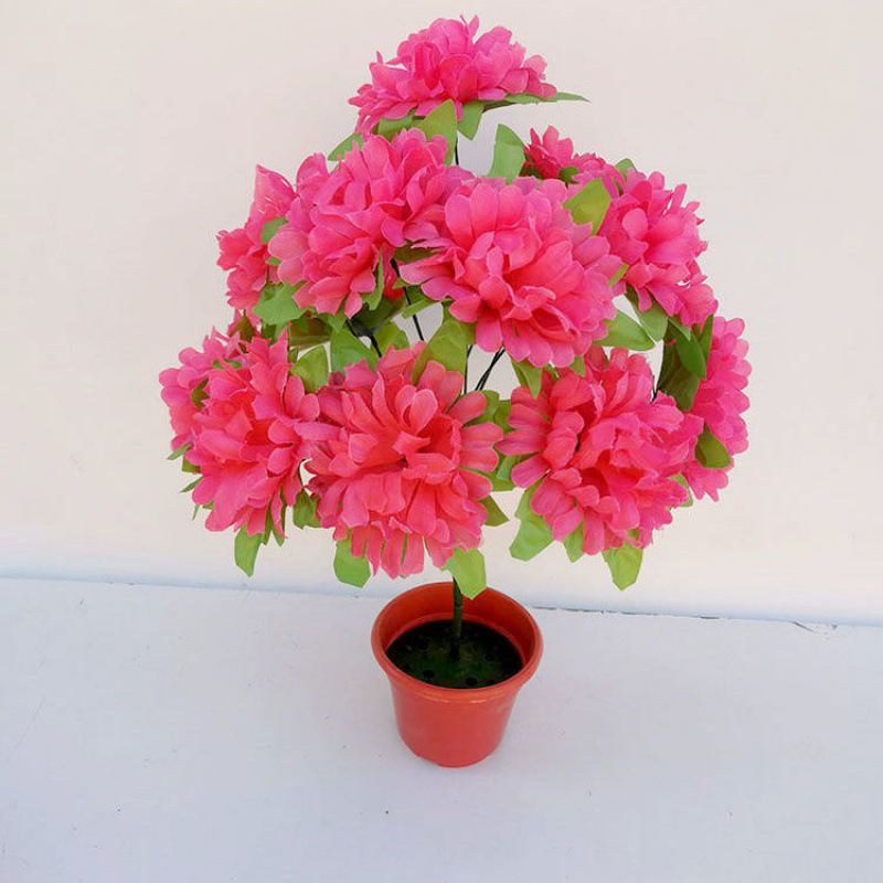 12 chrysanthemums with leaves (rose red) 1 branch - 1 branch + flowerpot quality choice