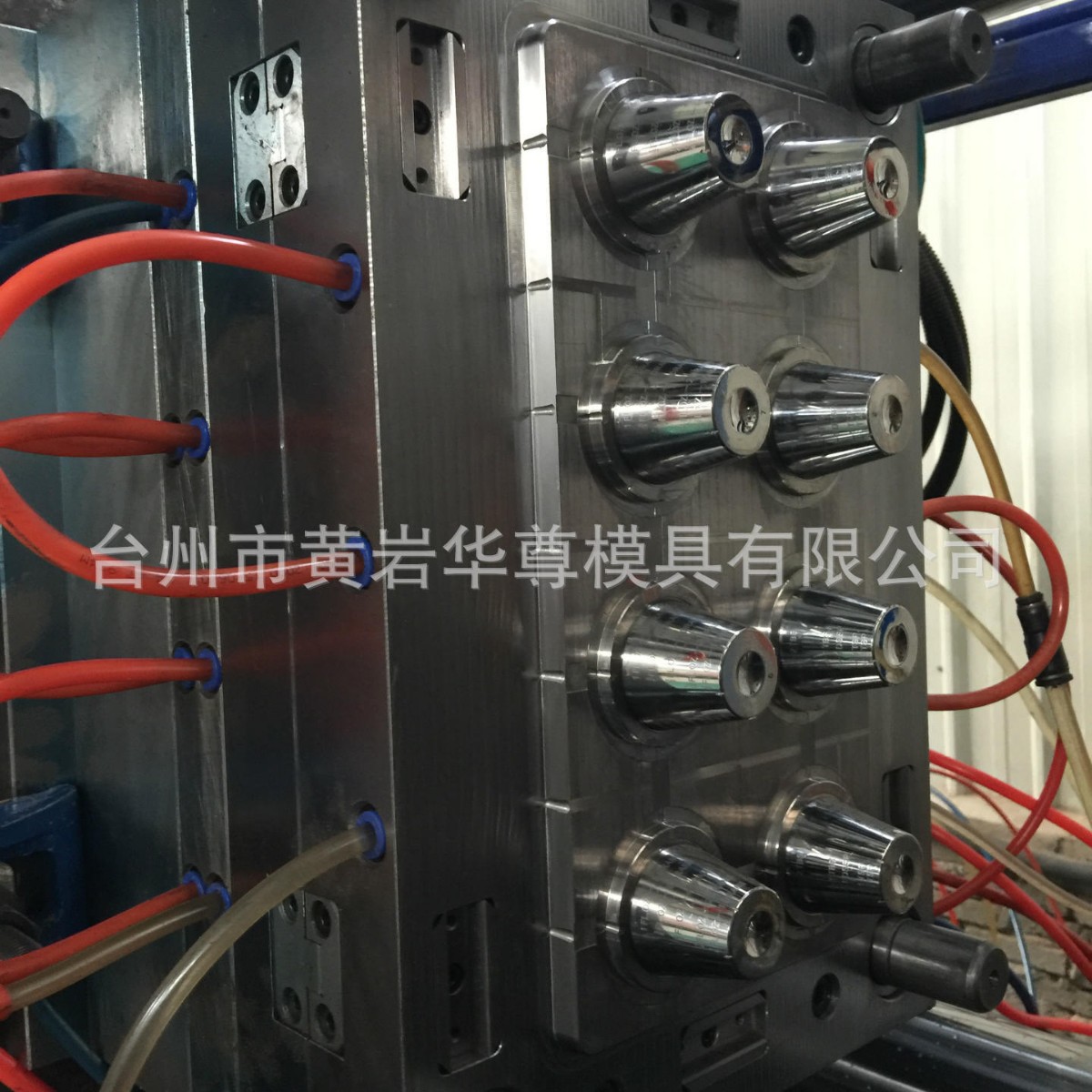 服药杯模具 医疗模具 塑料模具 进口S136 热流道