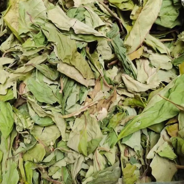 Dried Persimmon Leaves Shi Ye 500g Natural Whole Leaf Herbal Tea Material key features