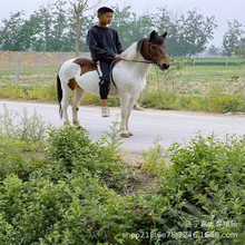 ���R���w���갫�R��ͯ��ɫ���R�����R�������㰫�R�����R�T���R