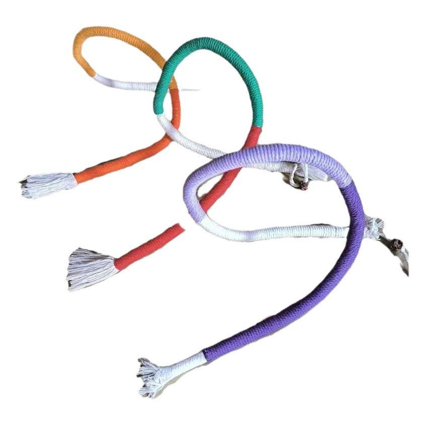 Игрушка из веревки для укуса кошки, самостоятельно снимающая душную шлифовальную палку, насекомое, желчный, веревка для укуса фруктов, забавная кошачья палка, износостойкая кошка, новая игрушка