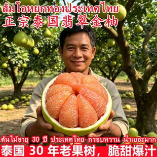 ����̩�����������ּt����Ƥ����4���������r�M���ЋDˮ������