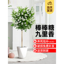 ���U�����Ǿ��������Ԙ䘶�҃��̨�^�~�^���������ļ����ܾGֲ��