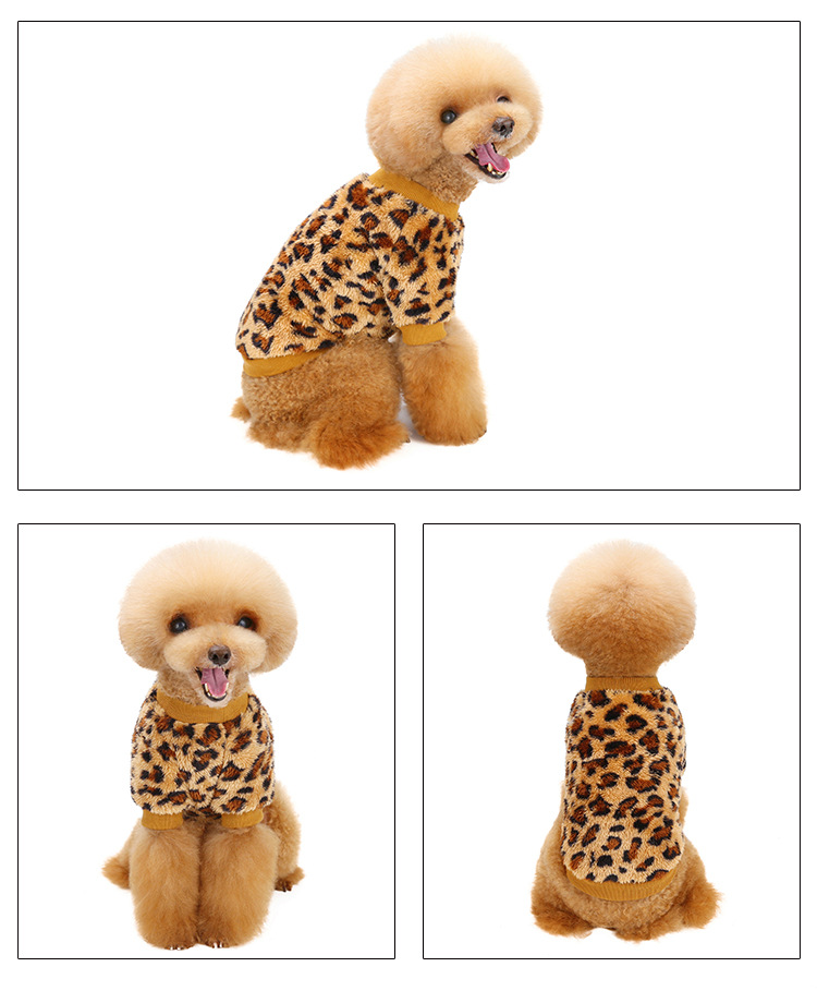 KLN21058-01_01 (11).jpg