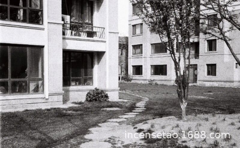 QQ图片20240722170904