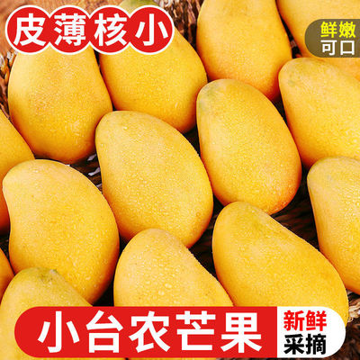 芒果海南特产小台农芒果热带小台甜水果新鲜应当季整箱包邮10网红