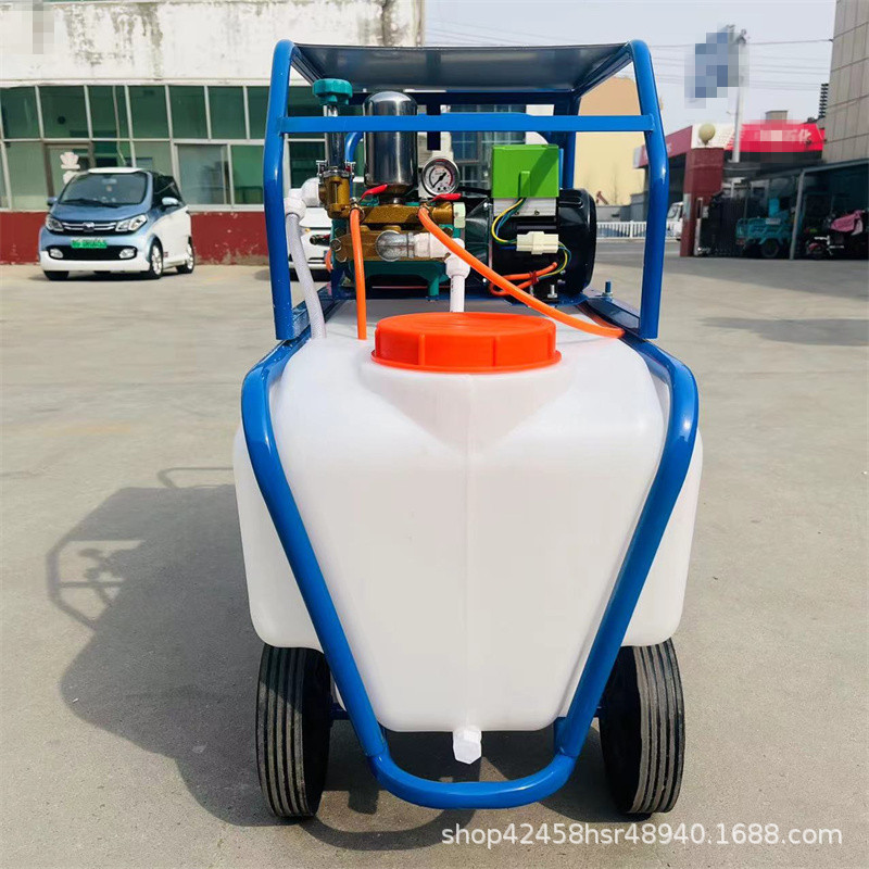 YC-150养殖场酒店景区消毒喷雾器双泵高压园林电动打药机移动方便