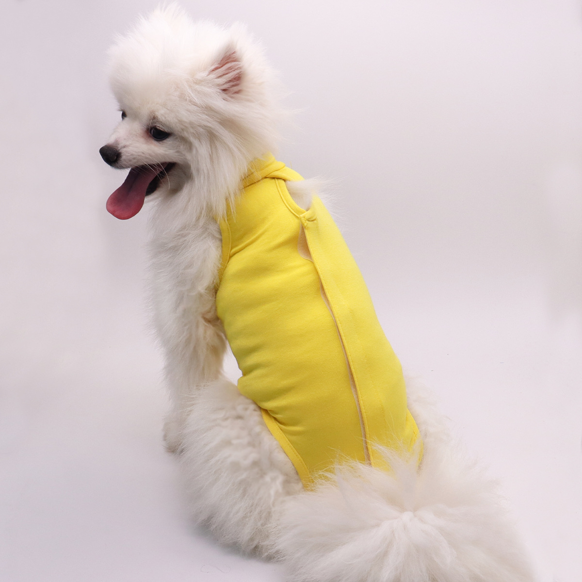 Traje quirúrgico para gatos, ropa después de la esterilización de mascotas, transpirable y anti-lamido, traje general de esterilización para perros de cuatro estaciones, traje quirúrgico para gatos
