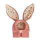ins new cute rabbit ears pet knitted hat autumn and winter warm headgear cat cute dog decorative pet