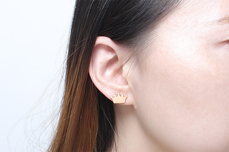 Fashion Geometric Stainless Steel No Inlaid 18K Gold Plated Earrings display picture 3