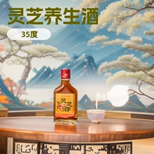 灵芝酒24瓶*125毫升35度扫码28元厂家供应滋补小酒创造牛劲酒
