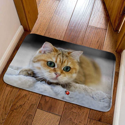 skin-friendly foot mat, easy to maintain, Avtomobil döşəmə paspasları - little-kitten-19-4060cm-crystal-velvet