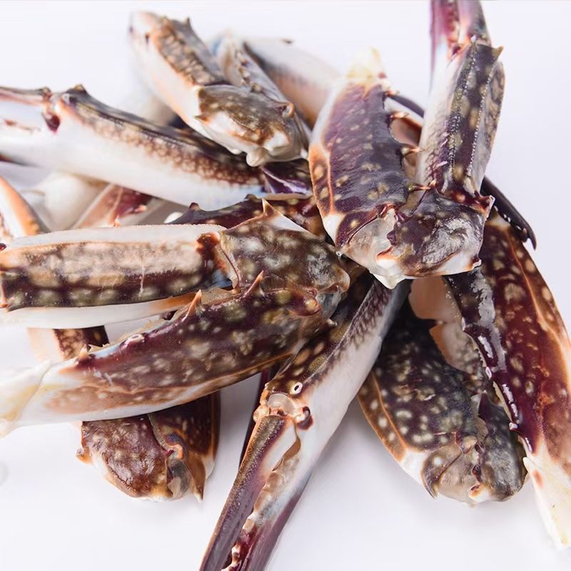 ¨포탄가게게 뿔 4박스 1000g