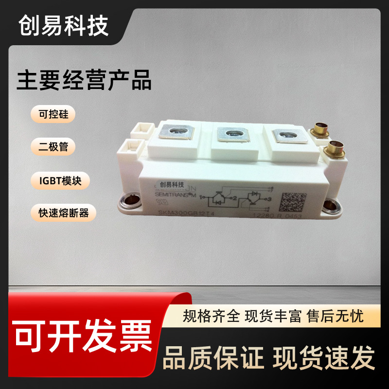 SKM300GB12T4 SKM300GB12V/GB12E4/GB123D/GB124D/GB126D/GB128D