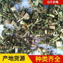 ��ĸ��1000���A����ș ��ș�ĬF؛���l���� ��ĸ��  ��؛����ă�