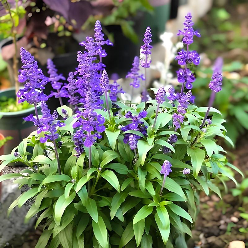 A bunch of blue/about 100 pieces