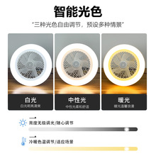 lede27ݿڌÃҏNLȟ픴dȟ