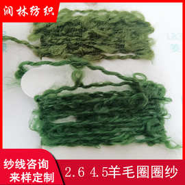 圈圈纱2.6 4.5支羊毛圈圈纱16%羊毛秋冬特种花式网红粗针纱线腈纶