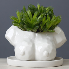 Supply Cross-border E-commerce Amazon Cartoon Succulent Pot Ceramic White Creative Abstract Humanoid Art Vase
