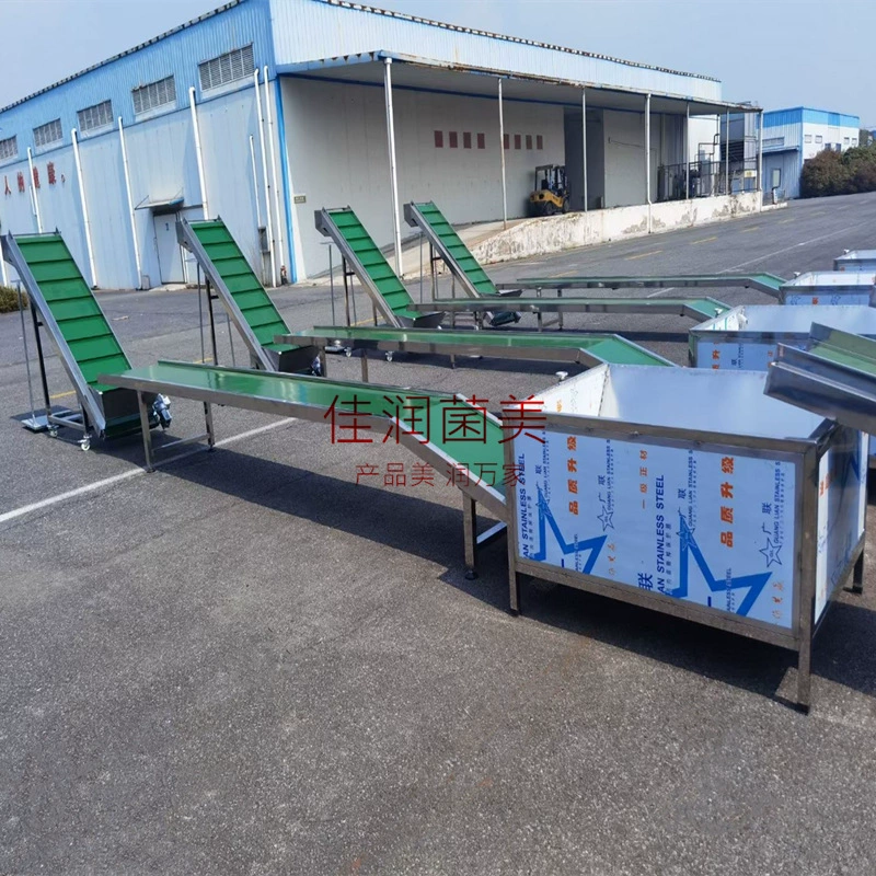 Грибы шиитаке, грибы, грибы, грибы, грибы, селекционные грибы, сушеные грибы