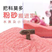 寄居蟹专用粉沙海星沙科莫多粉砂新手垫材垫料鱼缸垫材造景彩虹沙