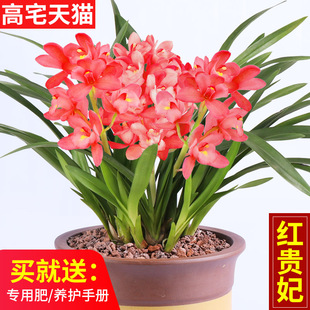 m tF ͰN m ҃ȻļmmGֲB