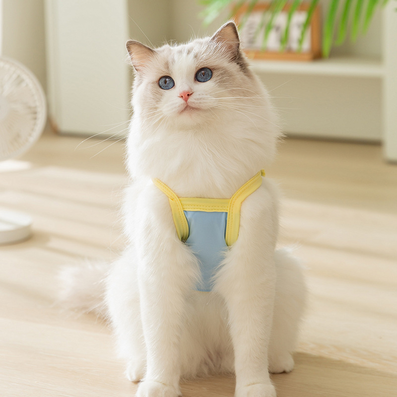 Gato verano transpirable fresco adorable osos nocturnos protección solar fría cinturón perro Teddy Bear ropa de mascotas