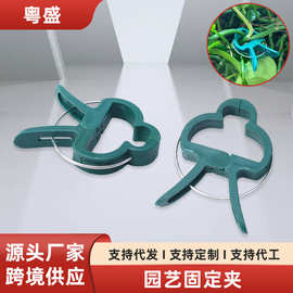跨境专供园艺固定夹西红柿植物固定夹塑料夹园艺工具植物固定夹