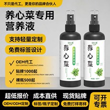 �B�Ĳˌ��àI�BҺ�I�BҺ���ϻ���С�Gֲͨ��ֲ����ϡ�ֱ���߲˷�
