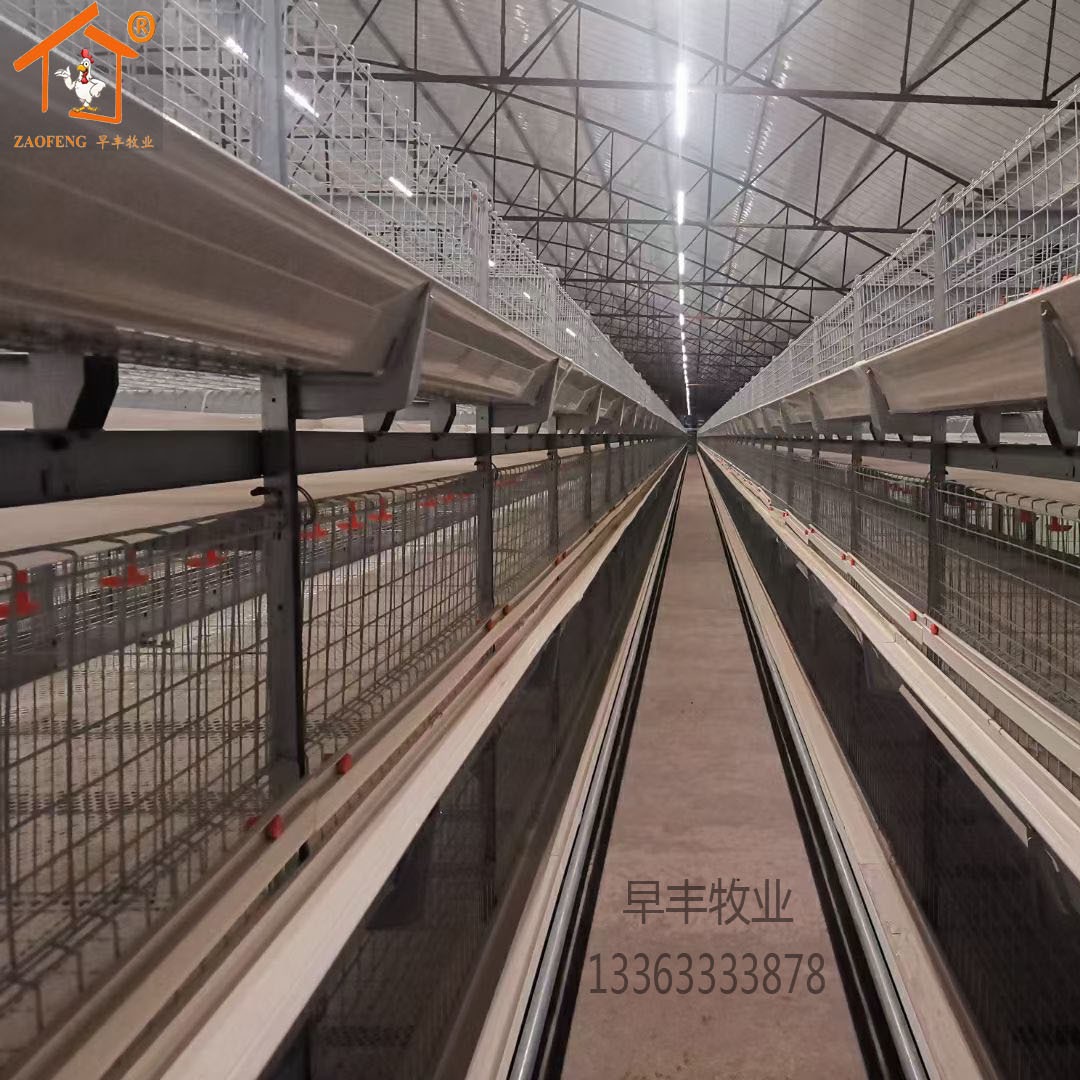 多层框架式自动化立式肉鸡笼养设备育雏育成半自动清粪鸡笼子蛋鸡