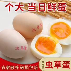 鸡蛋;鸡肉类;咸蛋类