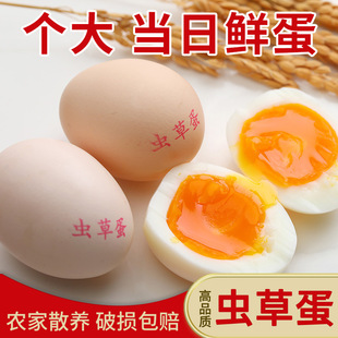 �r��ɢ�B���u�������x�ݵ���ö50g���� ���ι�B���u��һ�����l