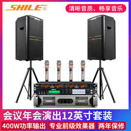 会议室音响系统 狮乐S62功放BM12音箱效果器大型户外舞台演出设备