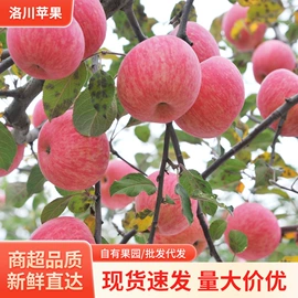 苹果