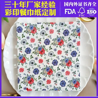 跨境彩色印花纸巾派对餐巾纸定制 聚会商用纸巾花草餐厅纸印Logo