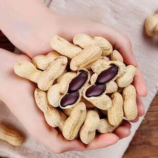 ������؛�����ڻ�����������ȥ���ڻ����r���Ԯa�����F؛һ�����l