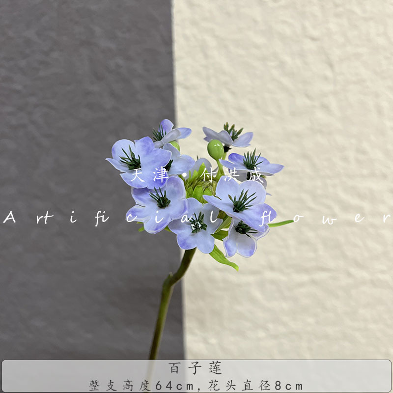 새로운 릴리 로터스-퍼플