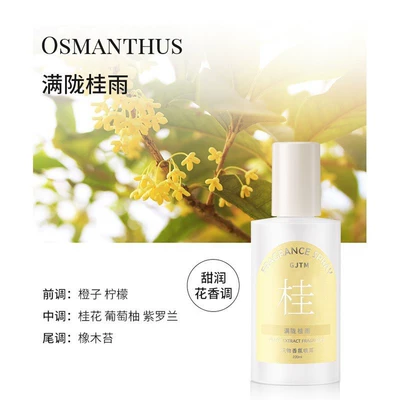 High-End Aroma Ornament Car Air: Car Perfume Aromatherapy - clothing-fragrance-spray-manlong-guiyu