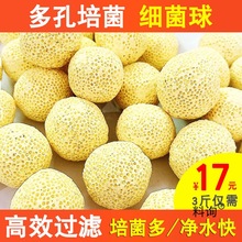 ~׼^VσˮVпʯӢմɭh