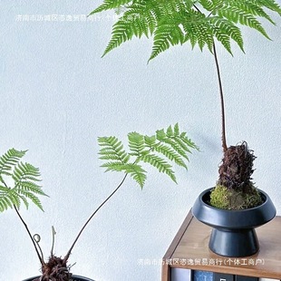 �W�t��ë����ާһ�~ާ��辰�����Ϙ�ާ�ֲ���ëާGֲ